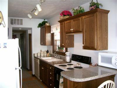 63270 West Fish Lake Road Sturgis, MI 49091 - Photo 7 of 12 Additional Photo