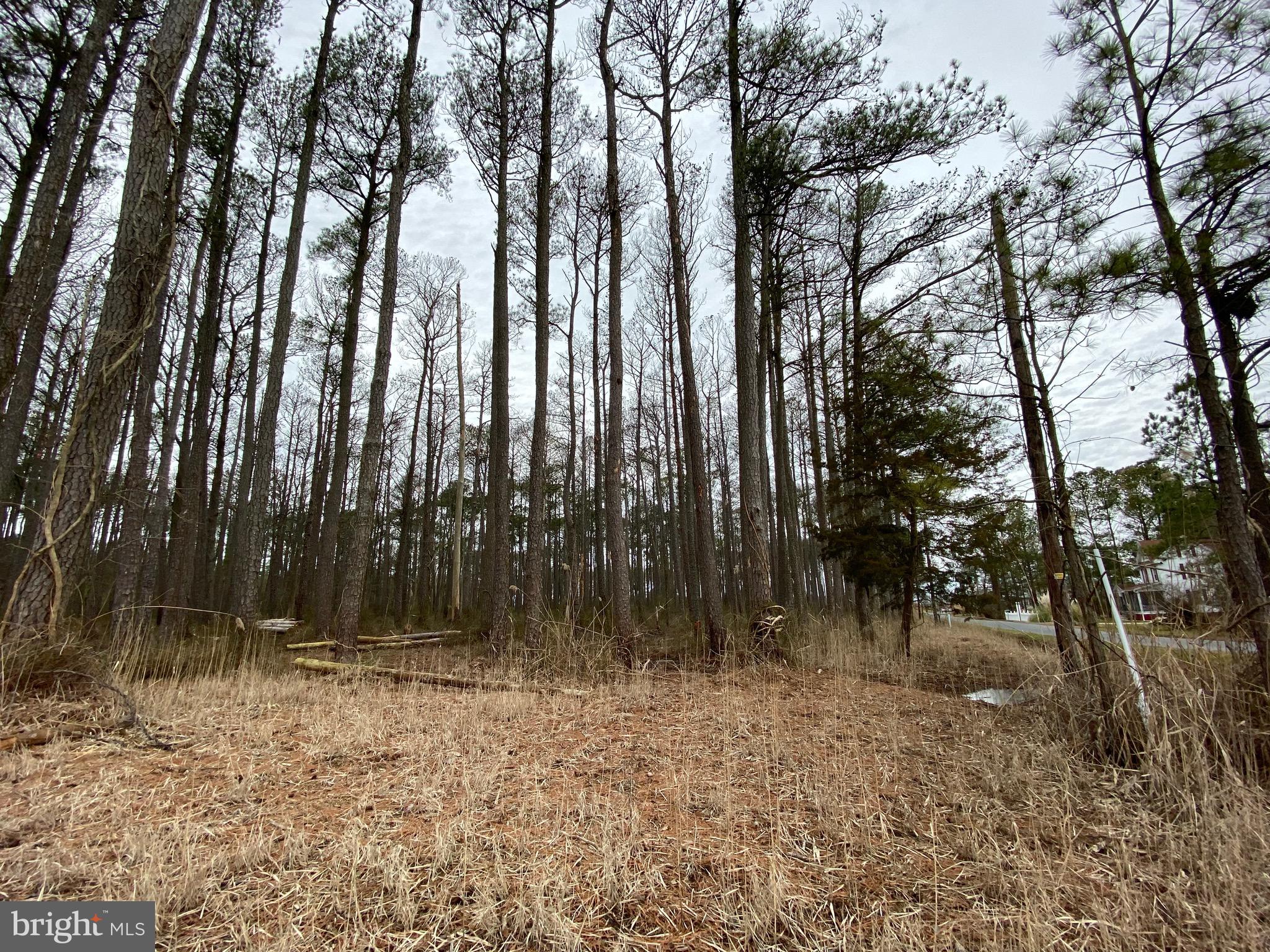 822 Calvary Road Crisfield, MD 21817 - Photo 2 of 8 Gallery Image 2
