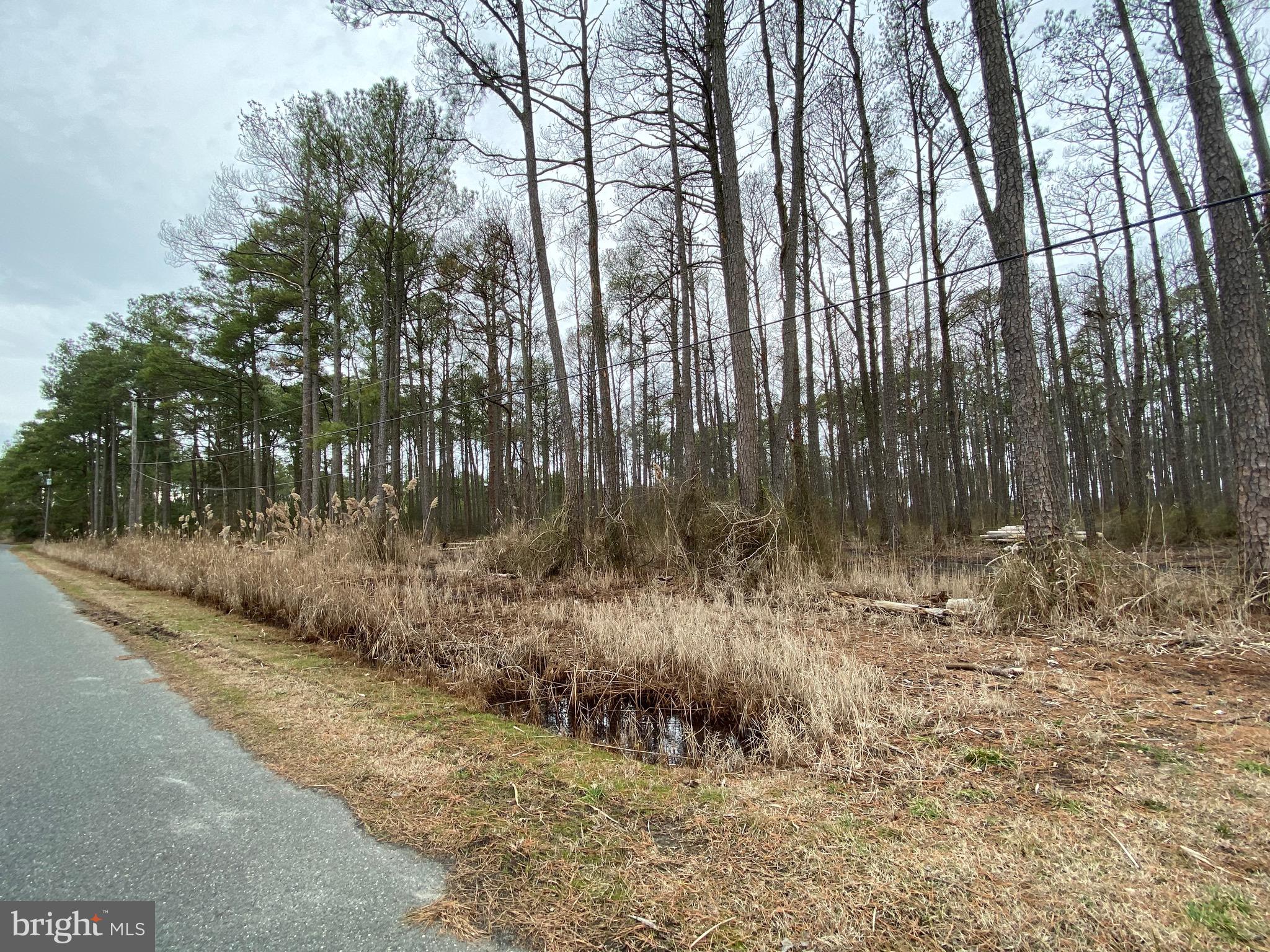 822 Calvary Road Crisfield, MD 21817 - Photo 3 of 8 Gallery Image 3