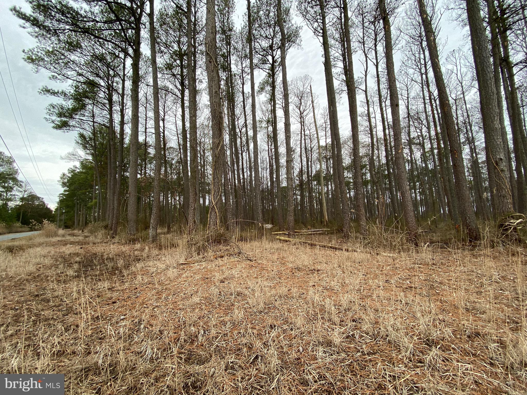 822 Calvary Road Crisfield, MD 21817 - Photo 5 of 8 Gallery Image 5