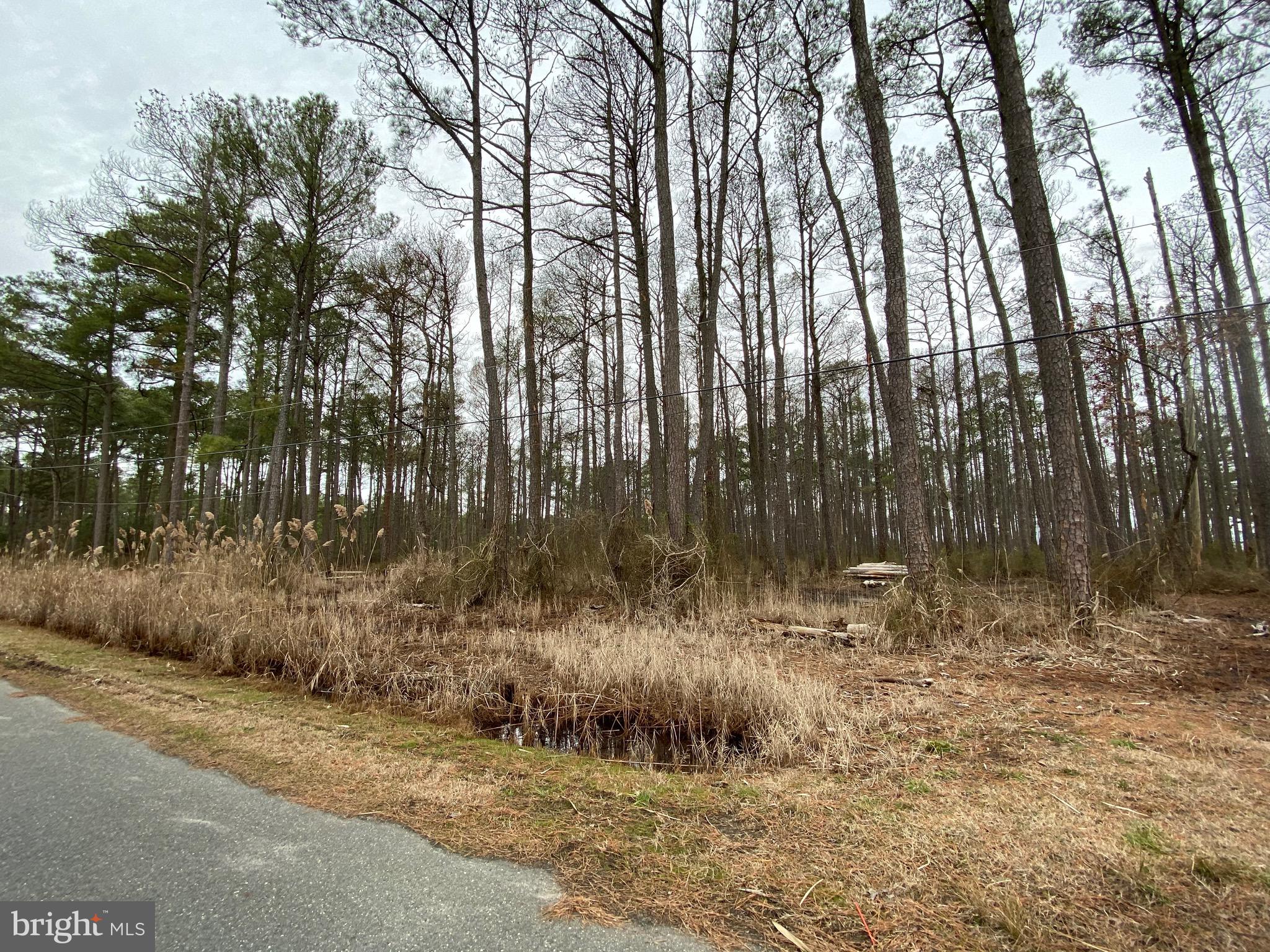 822 Calvary Road Crisfield, MD 21817 - Photo 6 of 8 Gallery Image 6