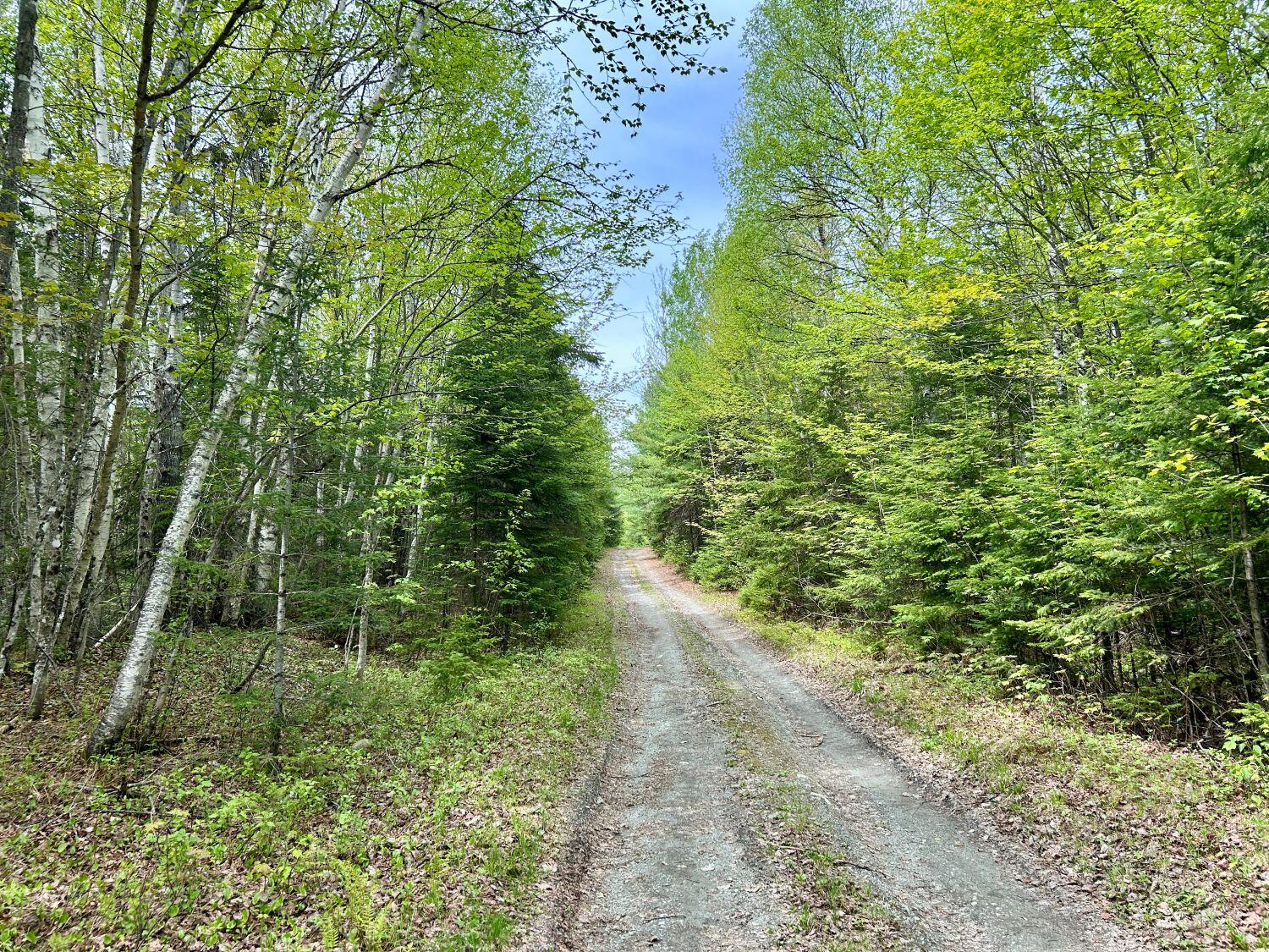 Lot 3 Scott Road Eustis, ME 04936 - Photo 5 of 26 Scott Road