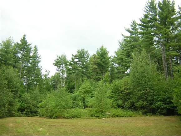 Champion Hill Road Effingham, NH 03882 - Photo 1 of 11 Gallery Image 1