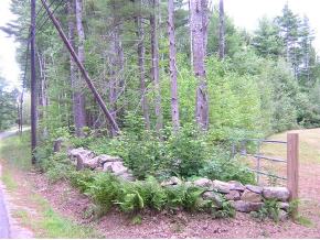 Champion Hill Road Effingham, NH 03882 - Photo 3 of 11 Gallery Image 3