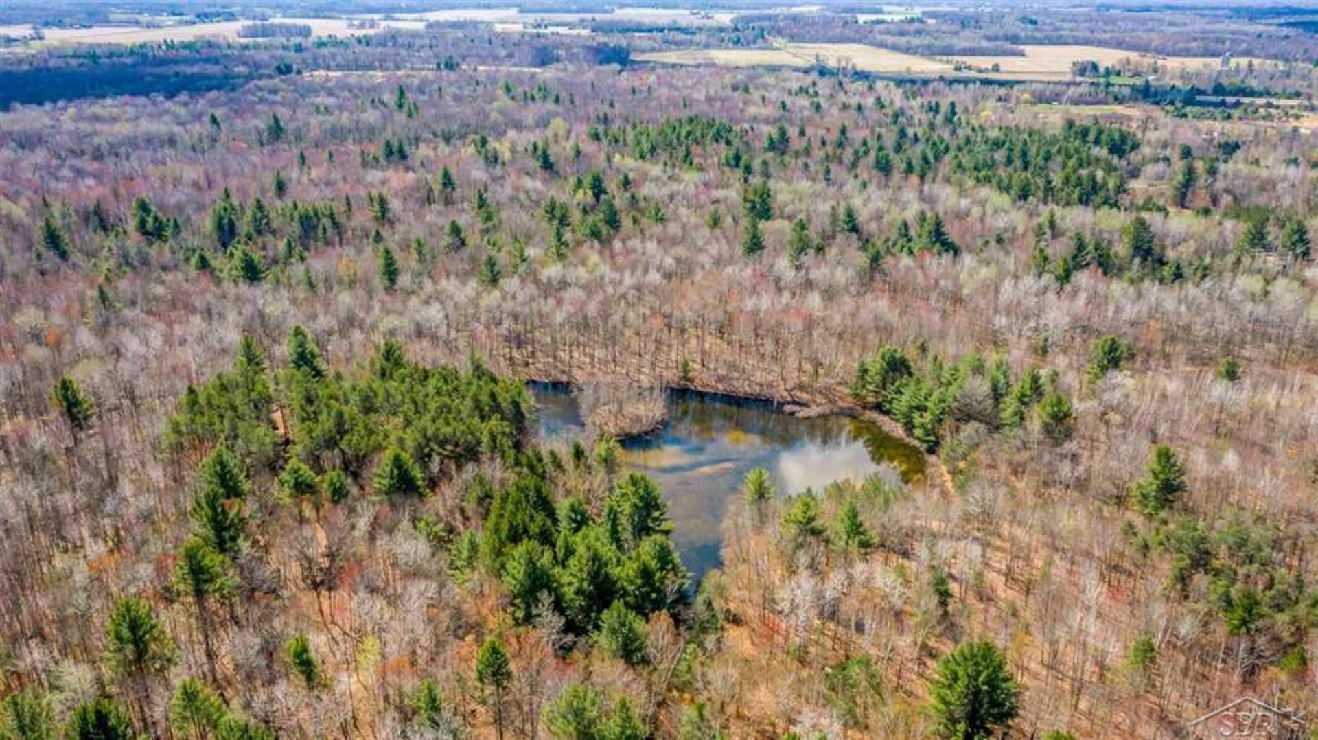 3901 West Shaffer Road Coleman, MI 48618 - Photo 19 of 25