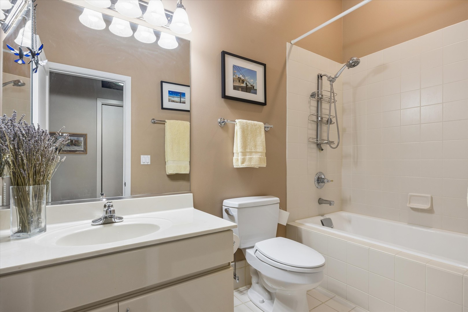 910 South Michigan Avenue, Unit 501 Chicago, IL 60605 - Photo 16 of 21 a bathroom with a sink a toilet and a mirror