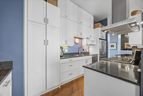 $550,000 | 910 South Michigan Avenue, Unit 501, Chicago, IL 60605