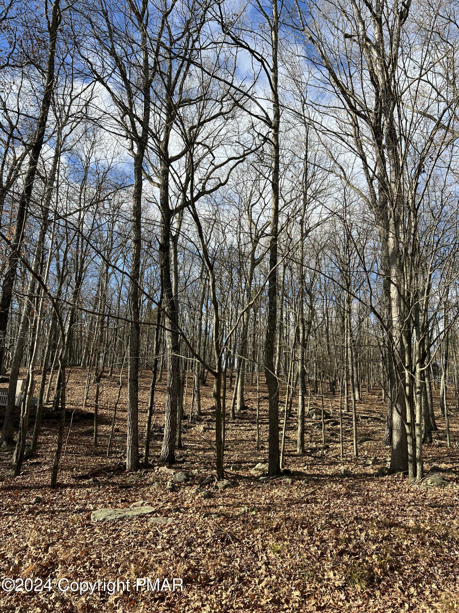 229 Forest Ridge Drive Hawley, PA 18428 - Photo 2 of 10 a view of a yard with large trees