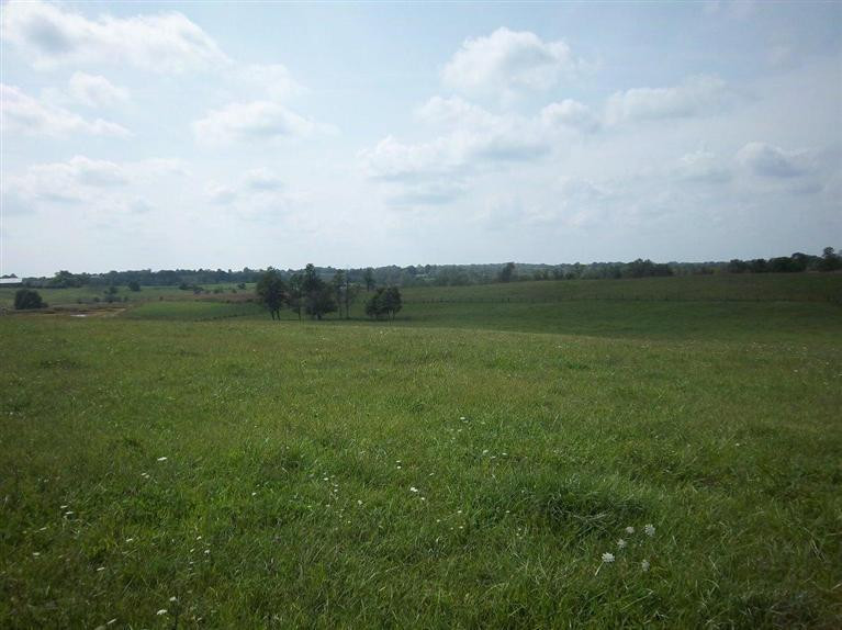 1005 Waits Road Cynthiana, KY 41031 - Photo 16 of 33 Photo 16