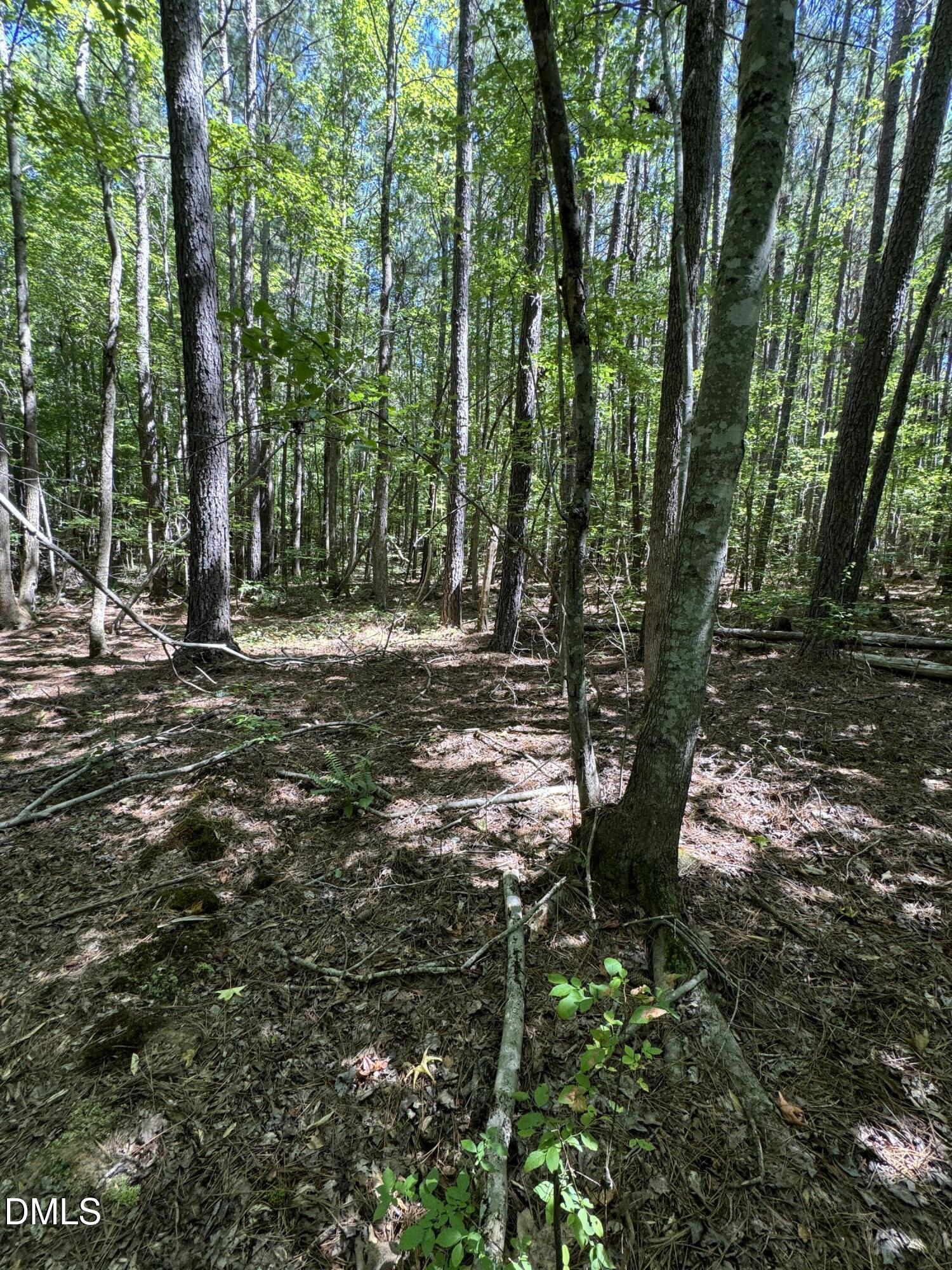 1820 Efland - Cedar Grove Road Efland, NC 27243 - Photo 2 of 5 a big yard with lots of green space and trees