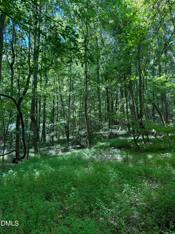 a view of a grassy field with trees in the background