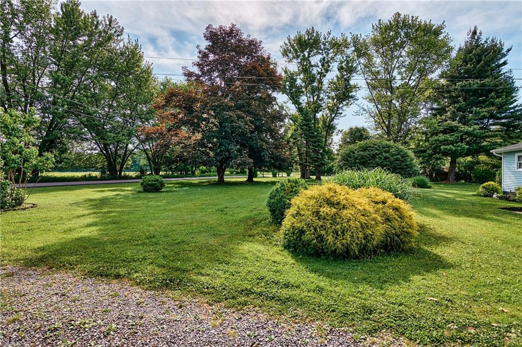 218 Evergreen Mill Road Harmony, PA 16037 - Photo 7 of 25 a view of a park with large trees