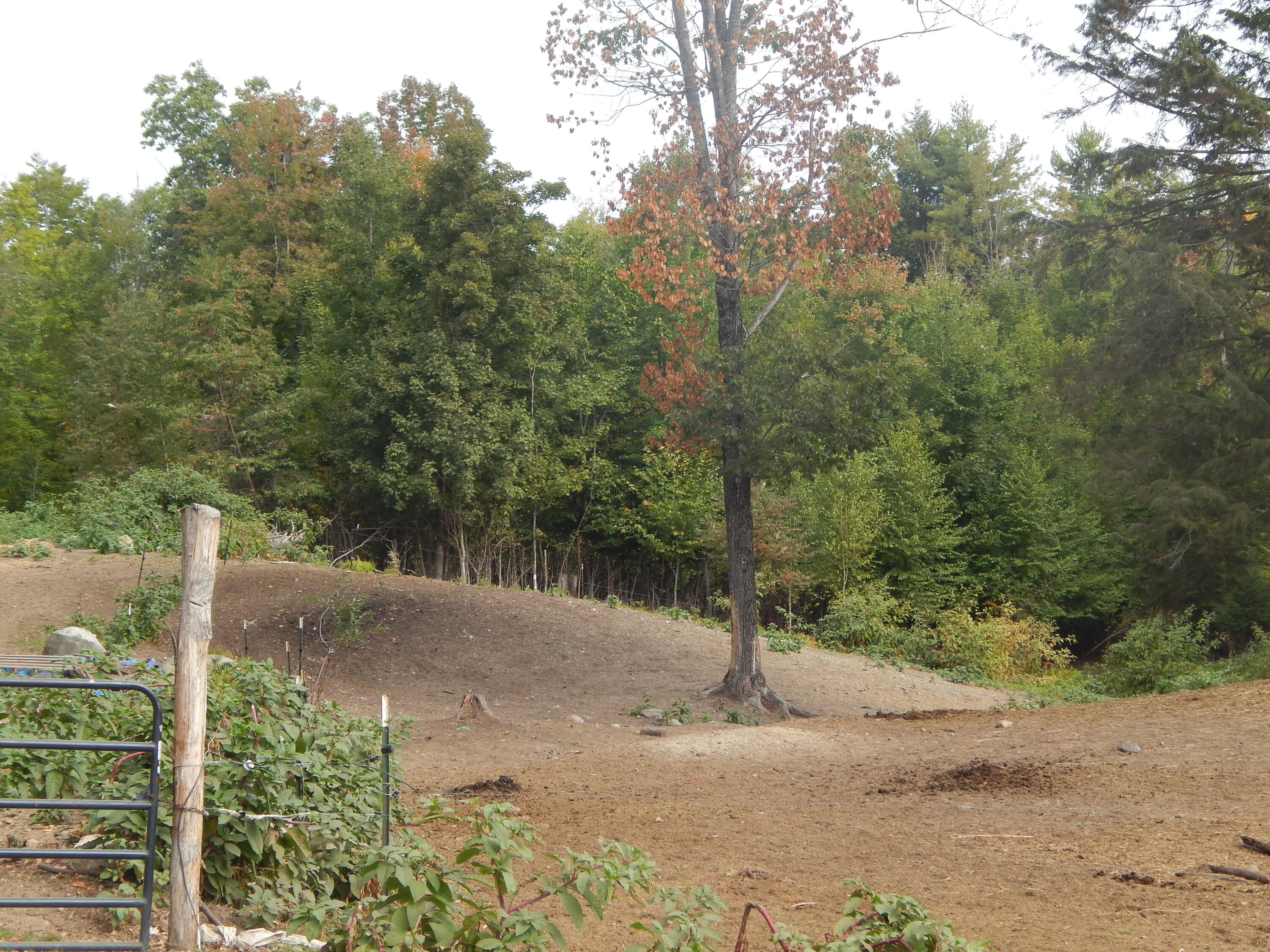 125 Corn Hill Road Brownfield, ME 04010 - Photo 36 of 38