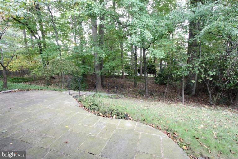 600 Hermleigh Road Silver Spring, MD 20902 - Photo 2 of 17 Back yard