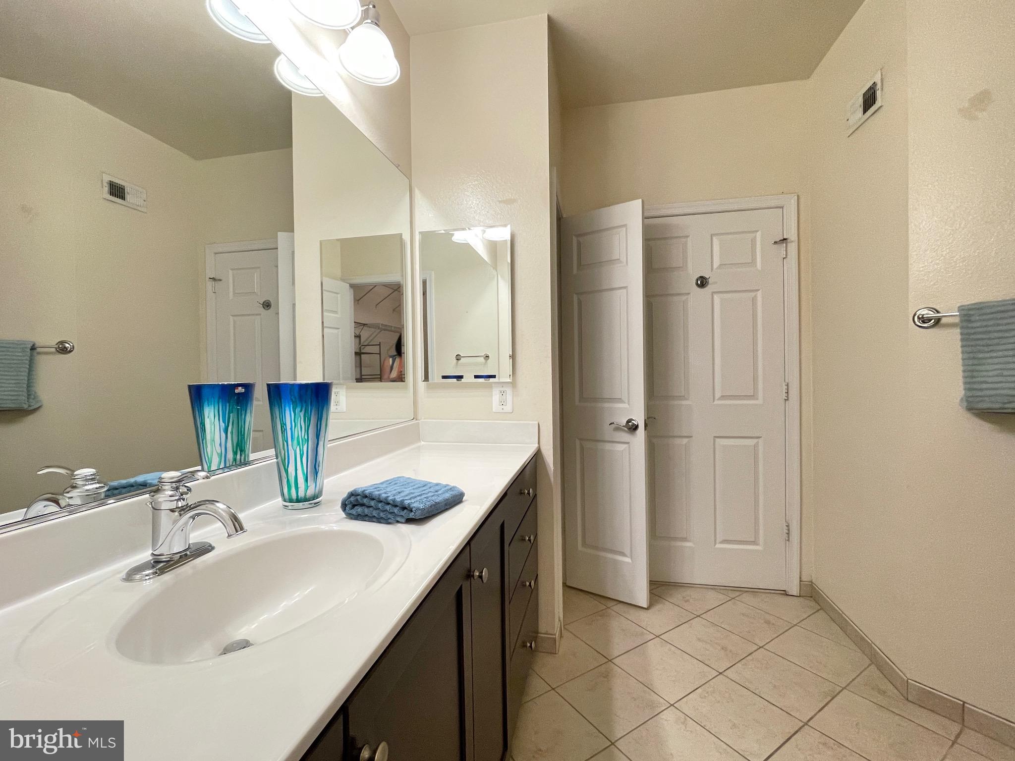 11800 Old Georgetown Road, Unit 1314 Rockville, MD 20852 - Photo 23 of 43 Primary bath