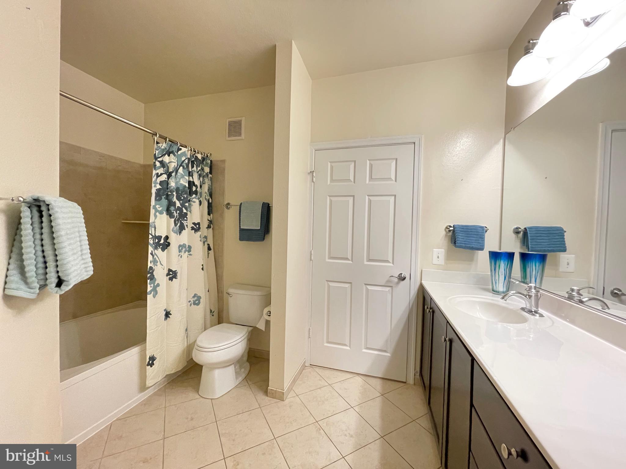 11800 Old Georgetown Road, Unit 1314 Rockville, MD 20852 - Photo 24 of 43 Primary bath