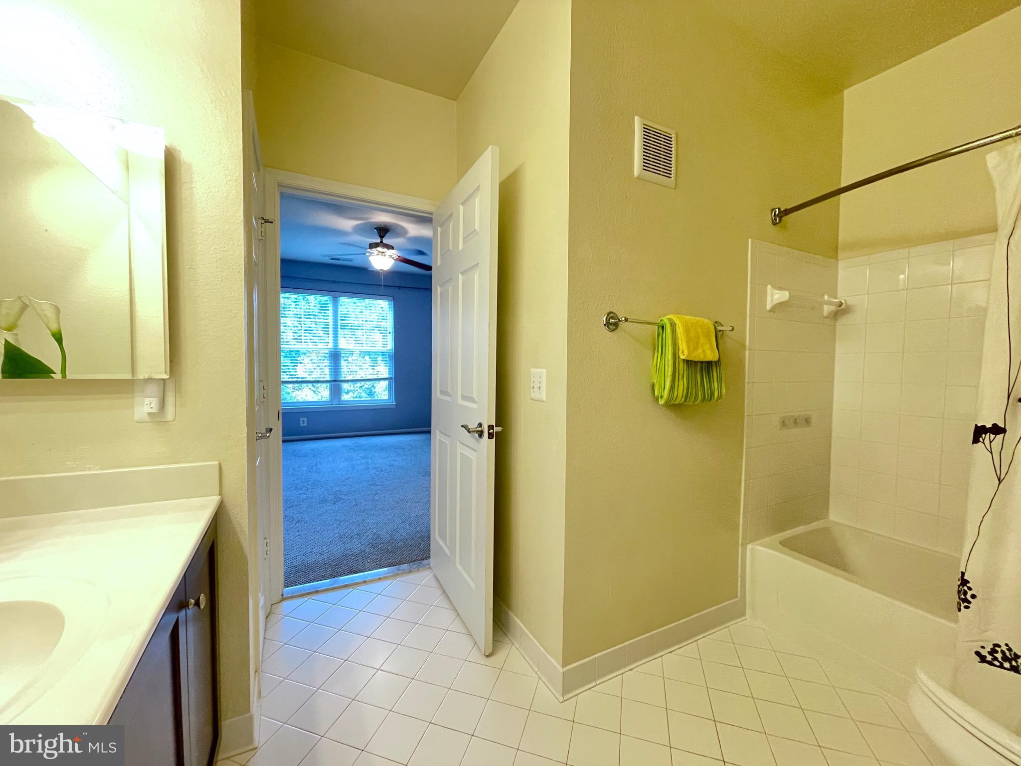 11800 Old Georgetown Road, Unit 1314 Rockville, MD 20852 - Photo 29 of 43 Guest bath dual entrance