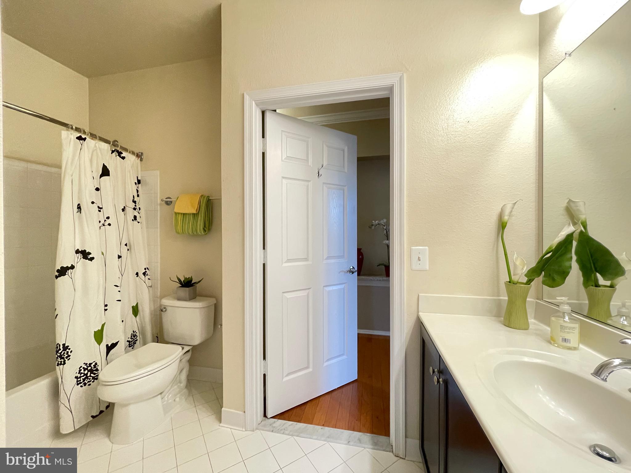11800 Old Georgetown Road, Unit 1314 Rockville, MD 20852 - Photo 30 of 43 Guest Bath dual entrance