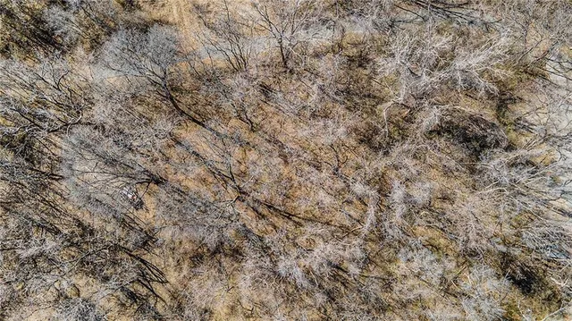 $30,000 | 9101 Norledge Avenue, Independence, MO 64053