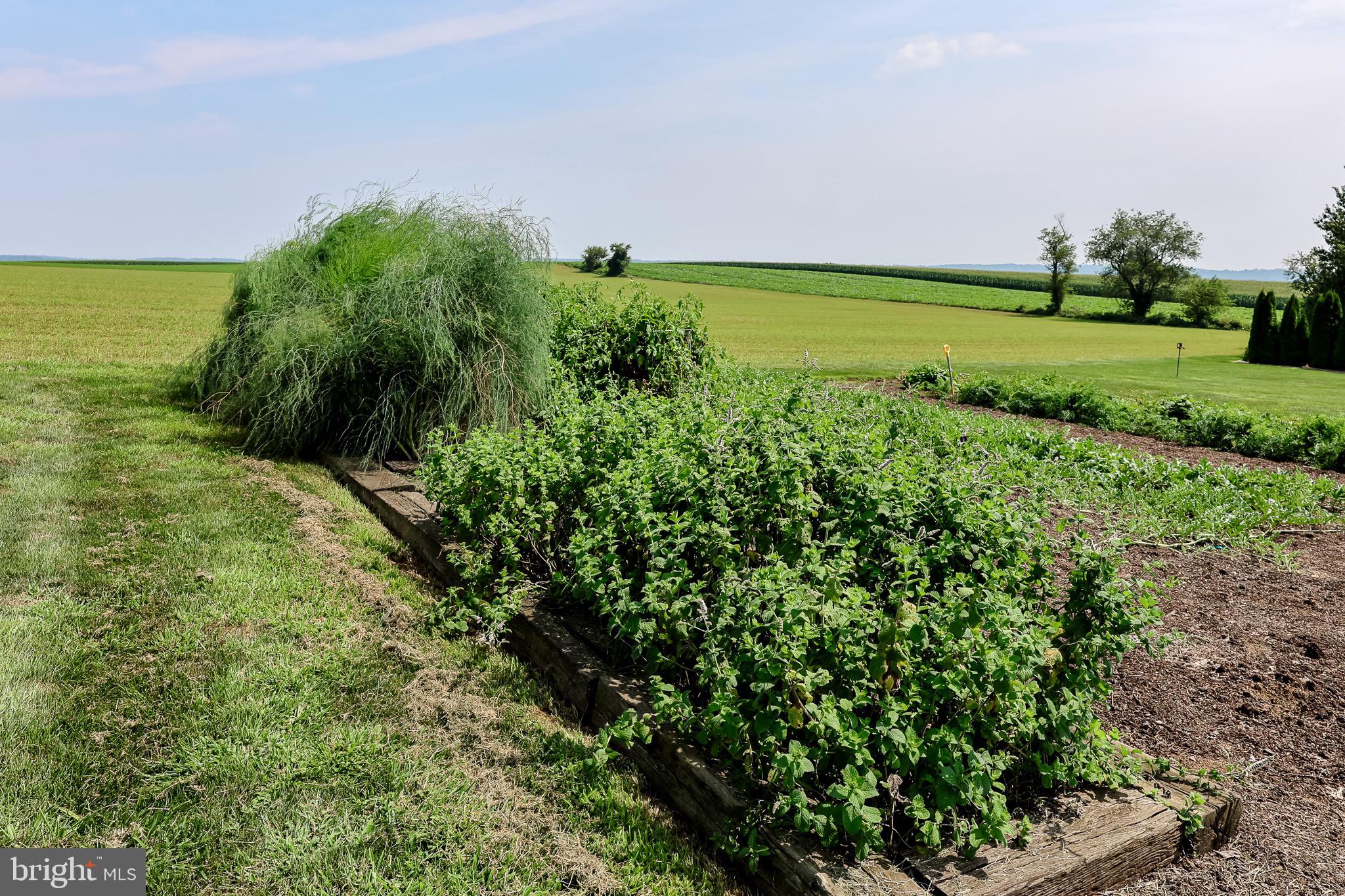 253 Meetinghouse Road Gap, PA 17527 - Photo 61 of 103