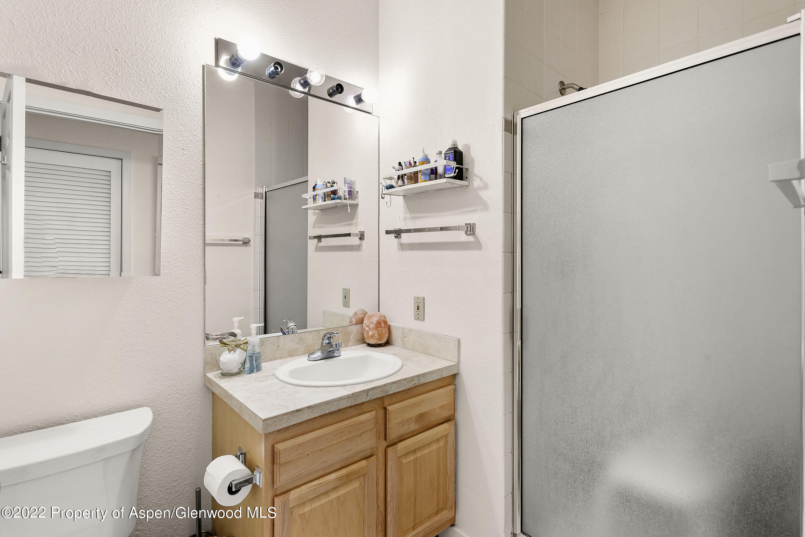 555 Gold Rivers Court, Unit 110 Basalt, CO 81621 - Photo 12 of 18 Bathroom 2