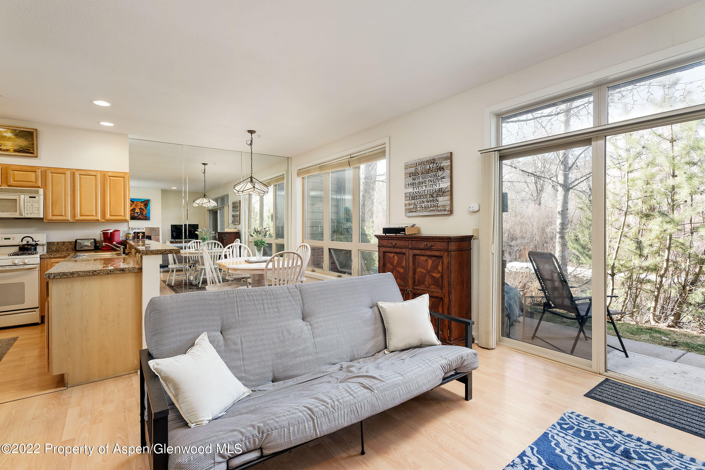 555 Gold Rivers Court, Unit 110 Basalt, CO 81621 - Photo 3 of 18 Living Room