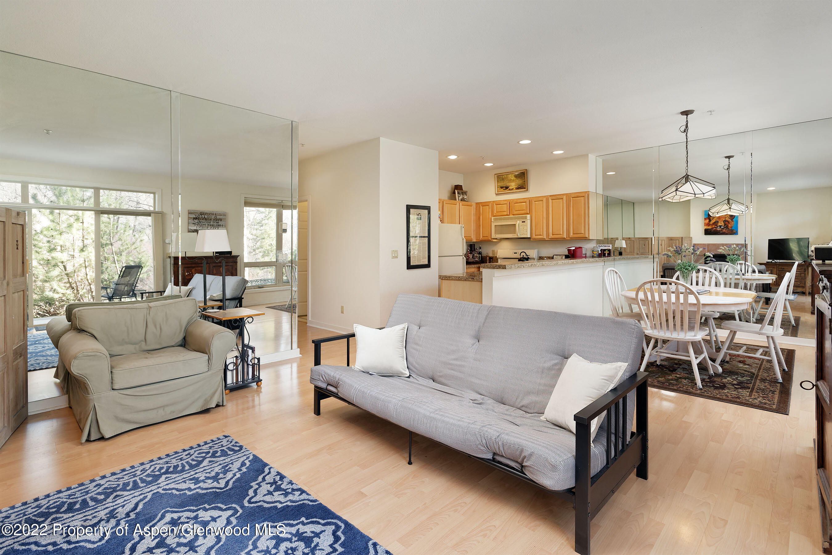 555 Gold Rivers Court, Unit 110 Basalt, CO 81621 - Photo 4 of 18 Living Room