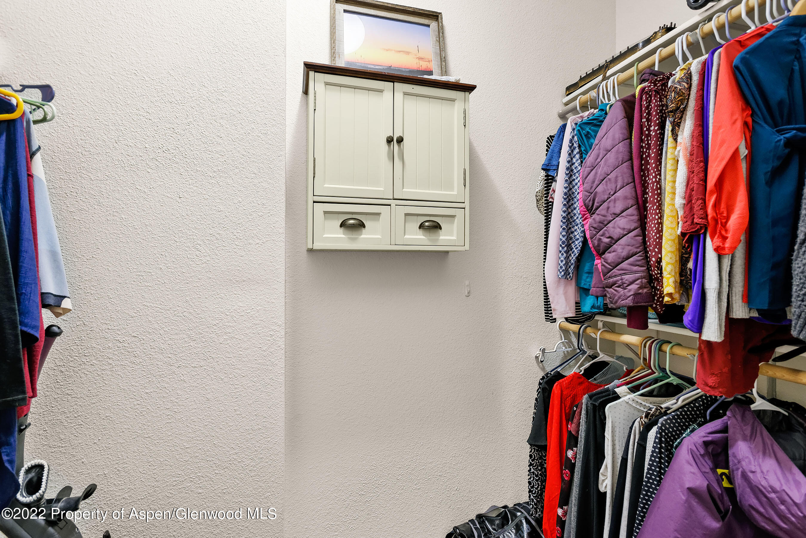 555 Gold Rivers Court, Unit 110 Basalt, CO 81621 - Photo 9 of 18 Closet