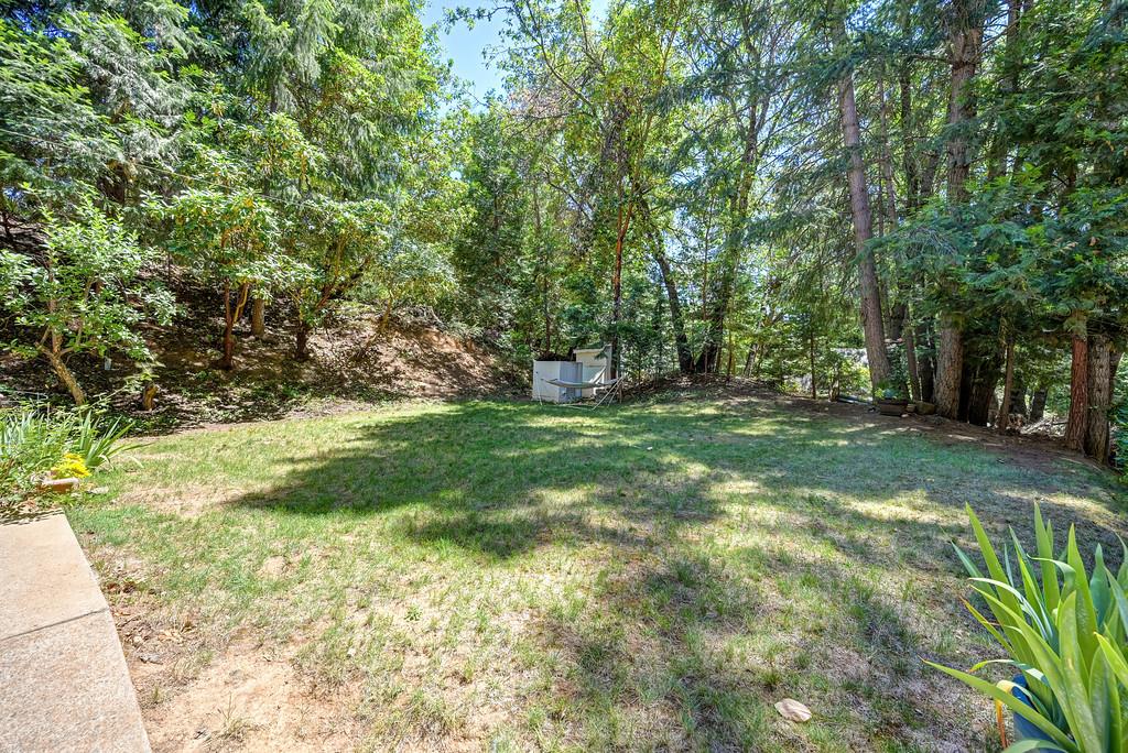 2585 Crystal Springs Road Camino, CA 95709 - Photo 24 of 89