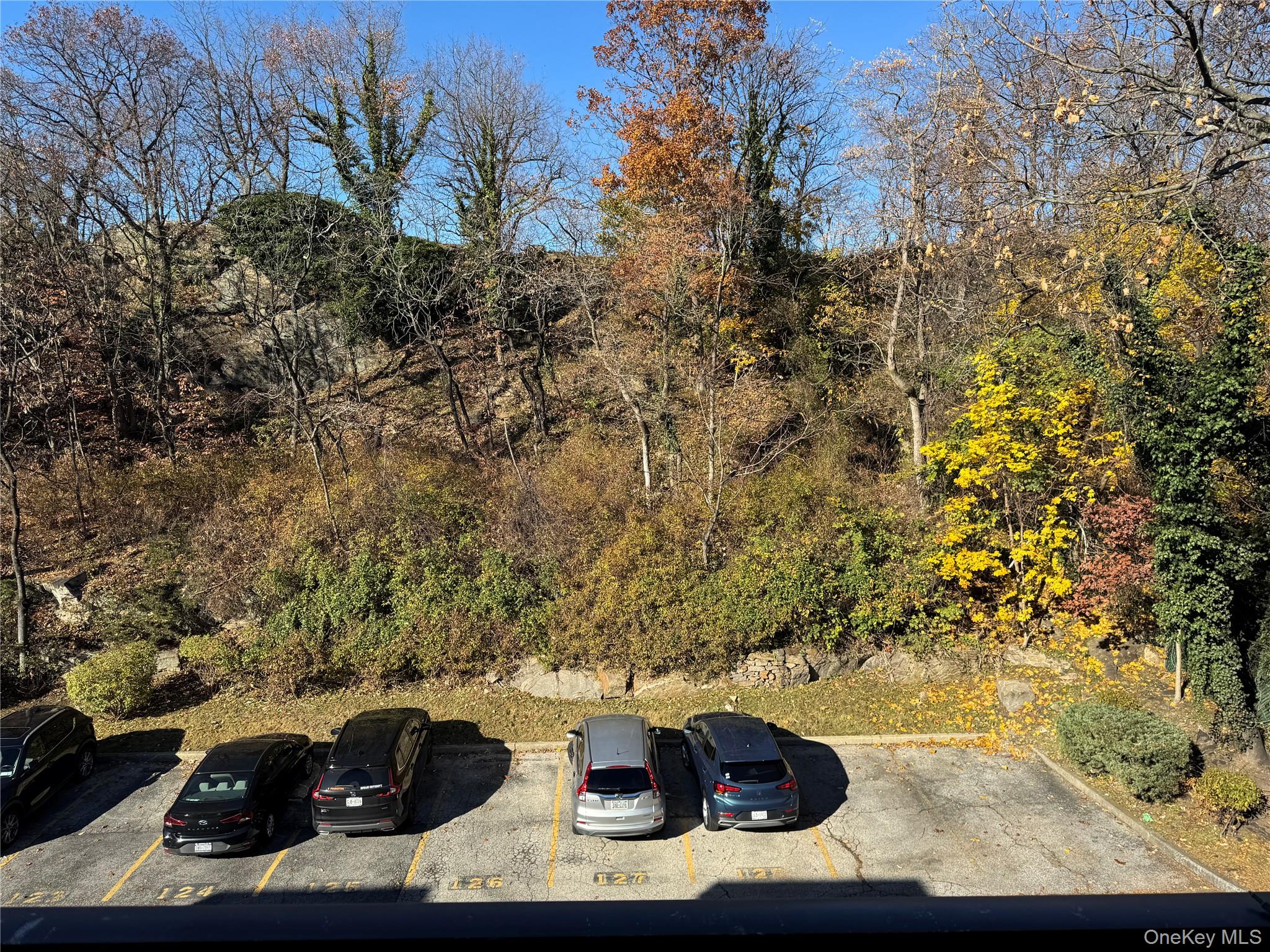 1101 Midland Avenue, Unit 402 Bronxville, NY 10708 - Photo 19 of 20 a view of backyard with seating area and trees