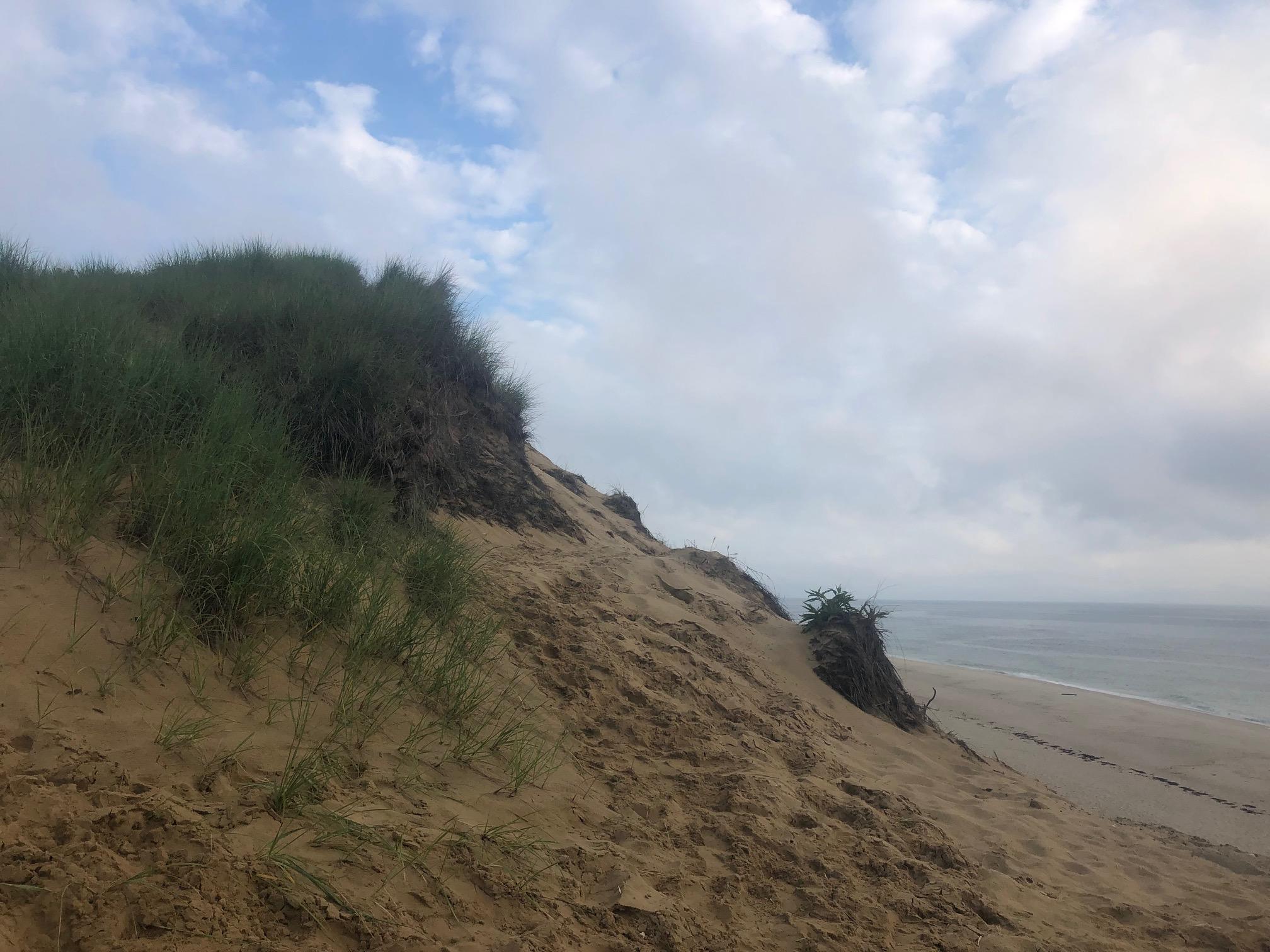 289 Cahoon Hollow Road Wellfleet, MA 02667 - Photo 23 of 25 a view of a beach