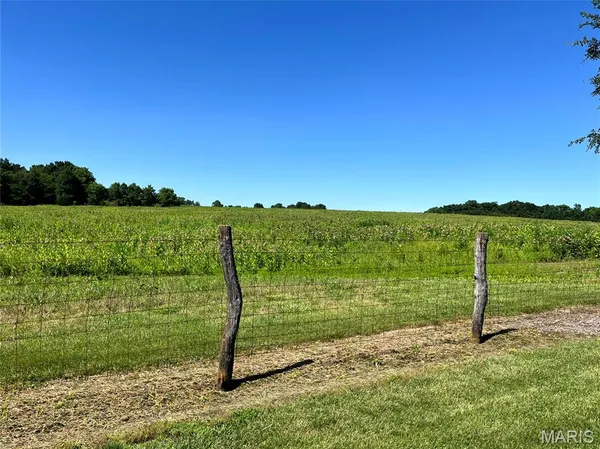 $1 | 46.22 Acres M/l On Highway, Silex, MO 63377