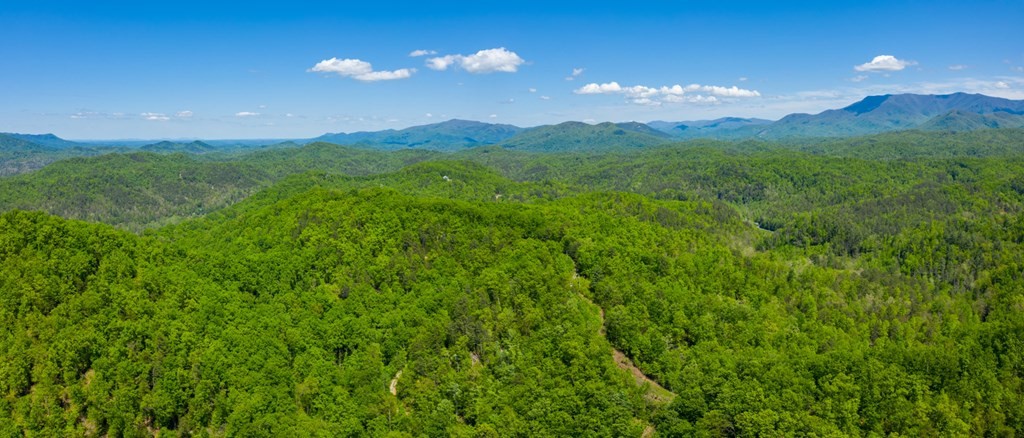 0 Henry Town Road Sevierville, TN 37876 - Photo 9 of 38 Gallery Image 9