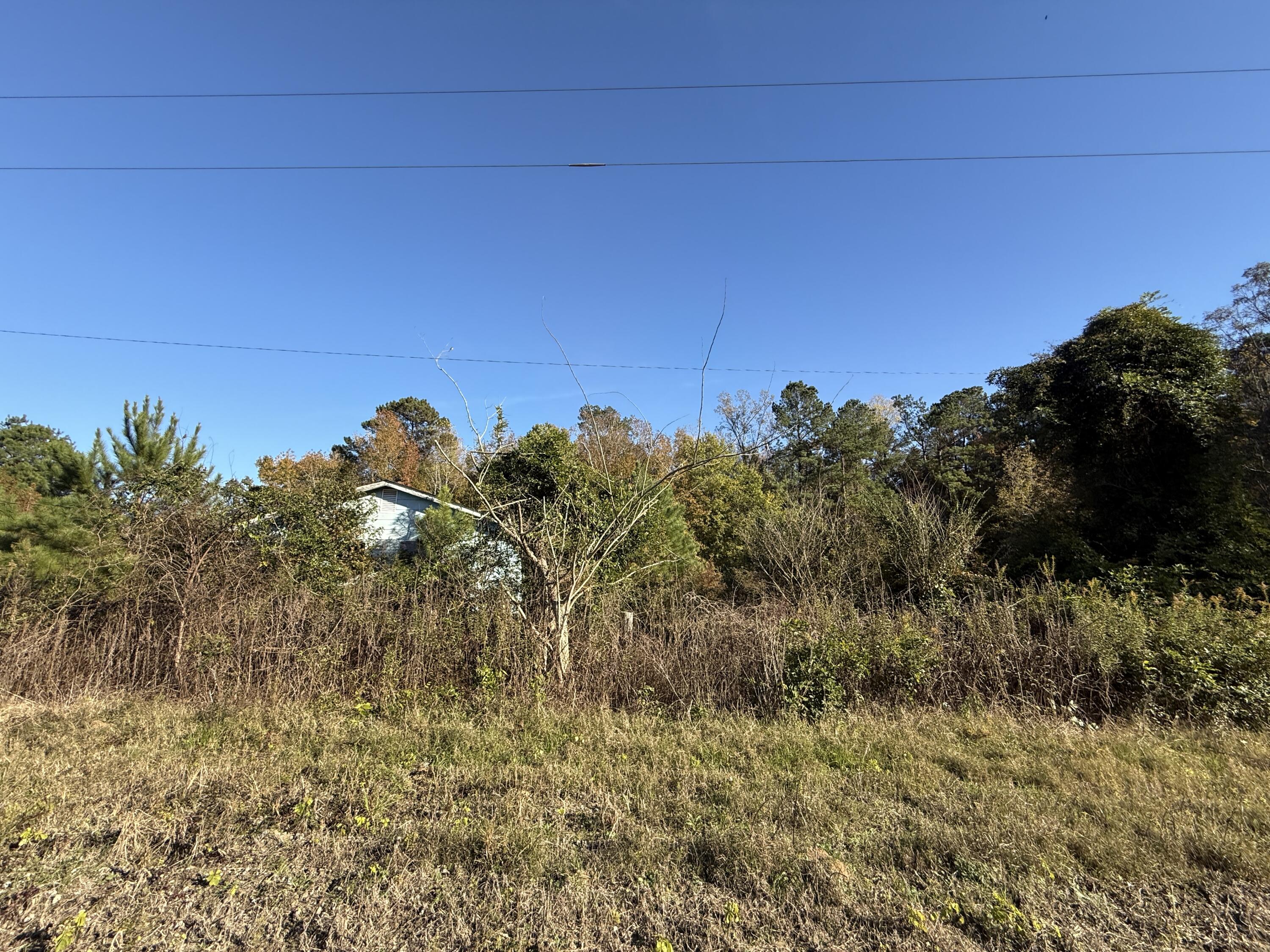 37 Saxon Road Kingstree, SC 29556 - Photo 11 of 17 IMG_2723