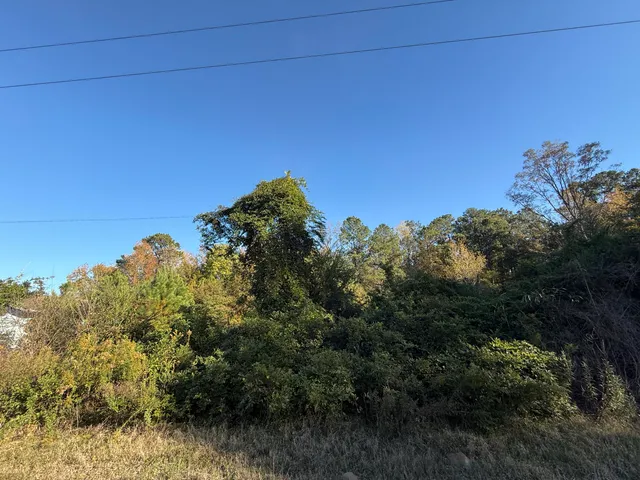 $55,000 | 37 Saxon Road, Kingstree, SC 29556