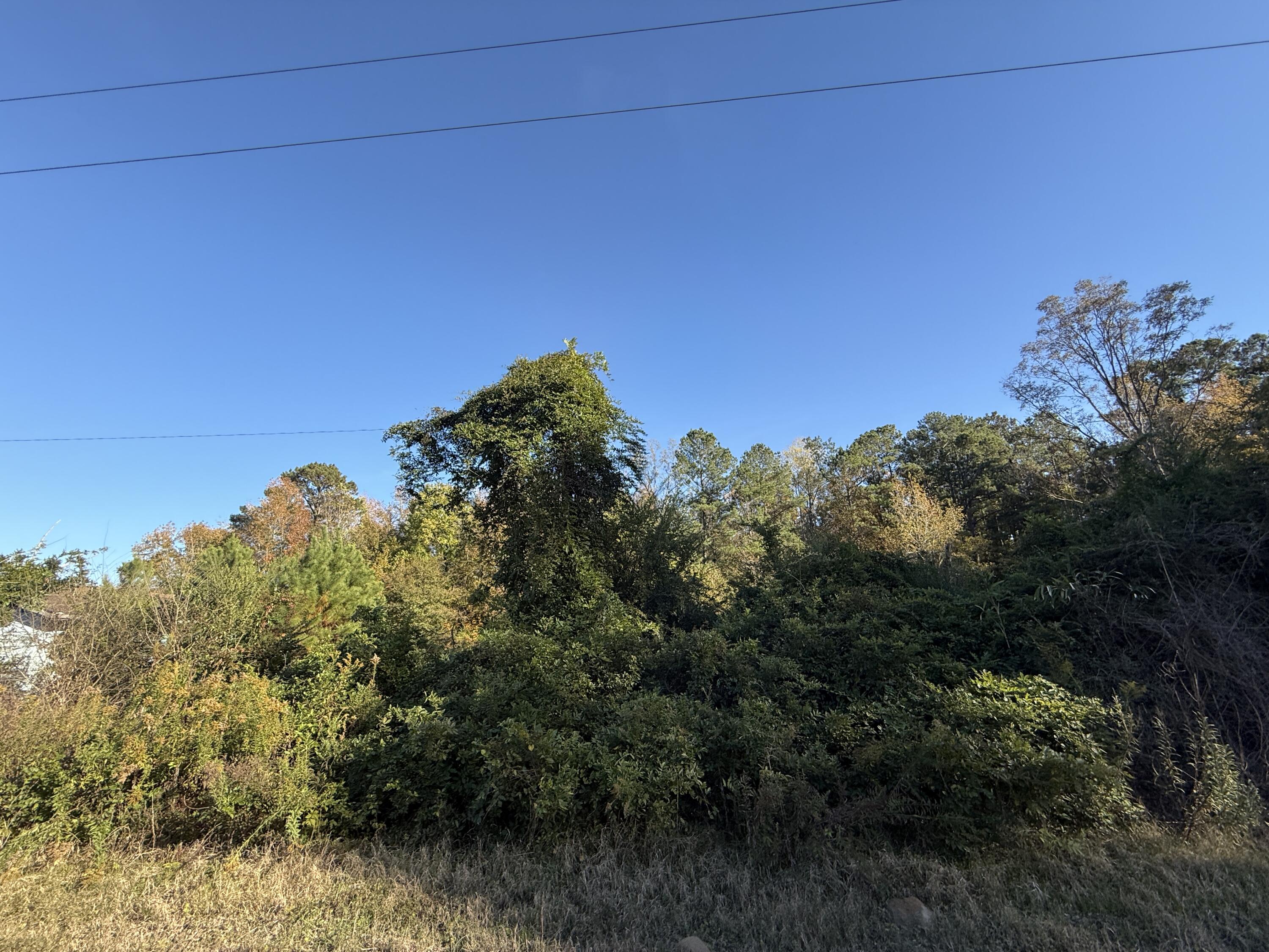 37 Saxon Road Kingstree, SC 29556 - Photo 12 of 17 IMG_2724