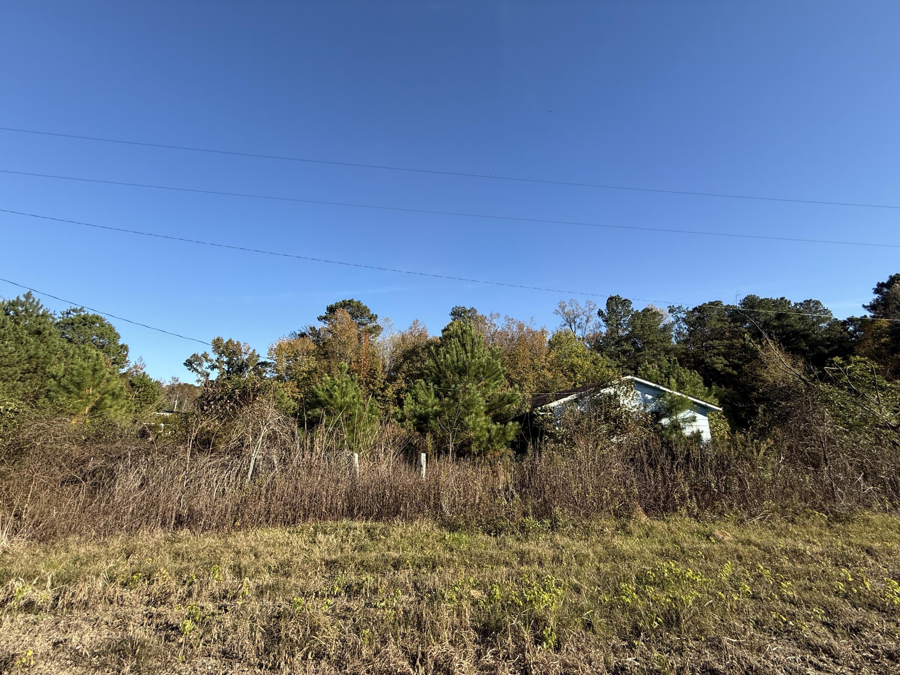 37 Saxon Road Kingstree, SC 29556 - Photo 14 of 17 IMG_2722