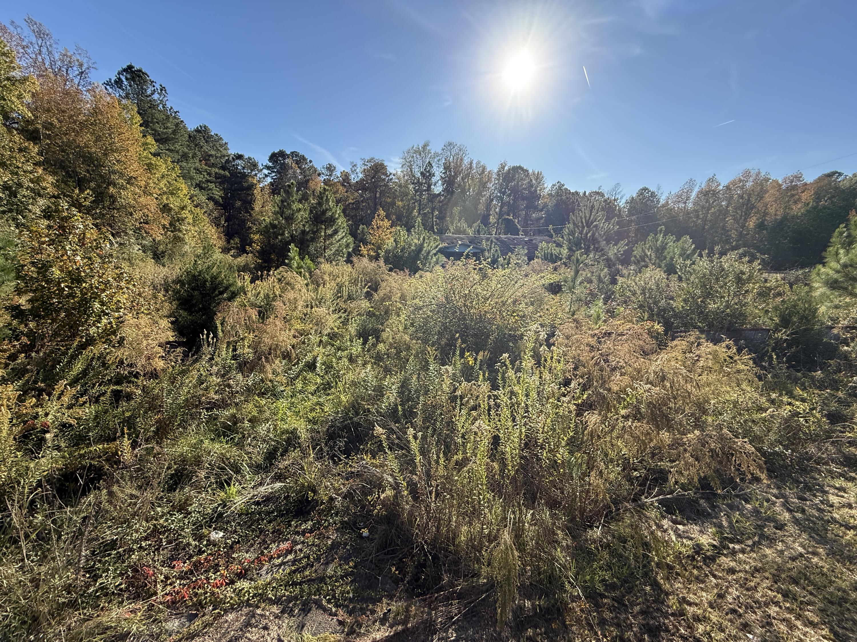 37 Saxon Road Kingstree, SC 29556 - Photo 2 of 17 IMG_2714