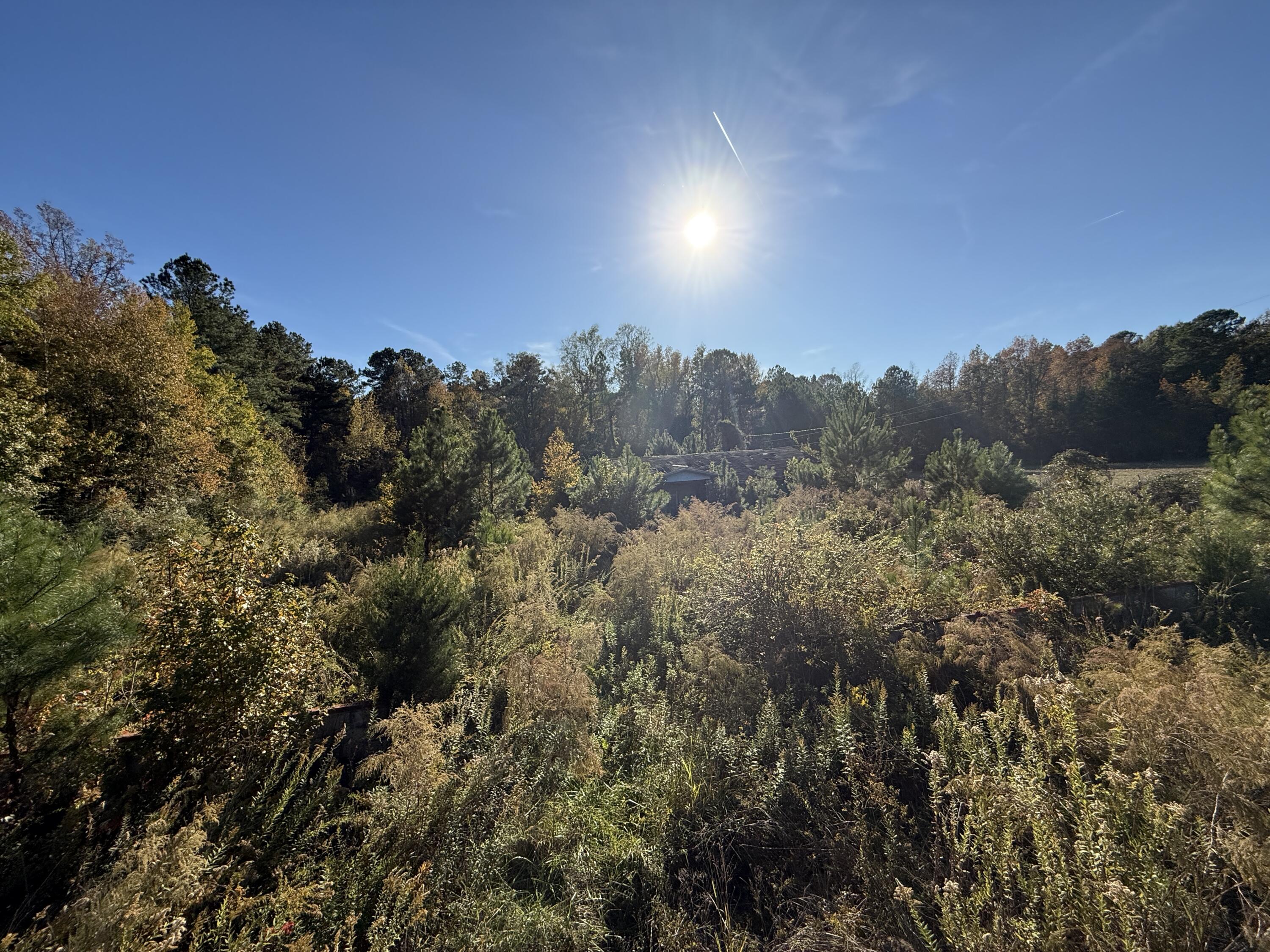 37 Saxon Road Kingstree, SC 29556 - Photo 4 of 17 IMG_2716