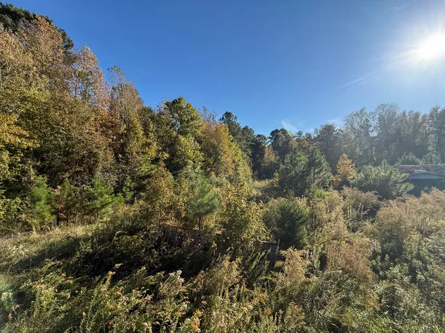 $55,000 | 37 Saxon Road, Kingstree, SC 29556