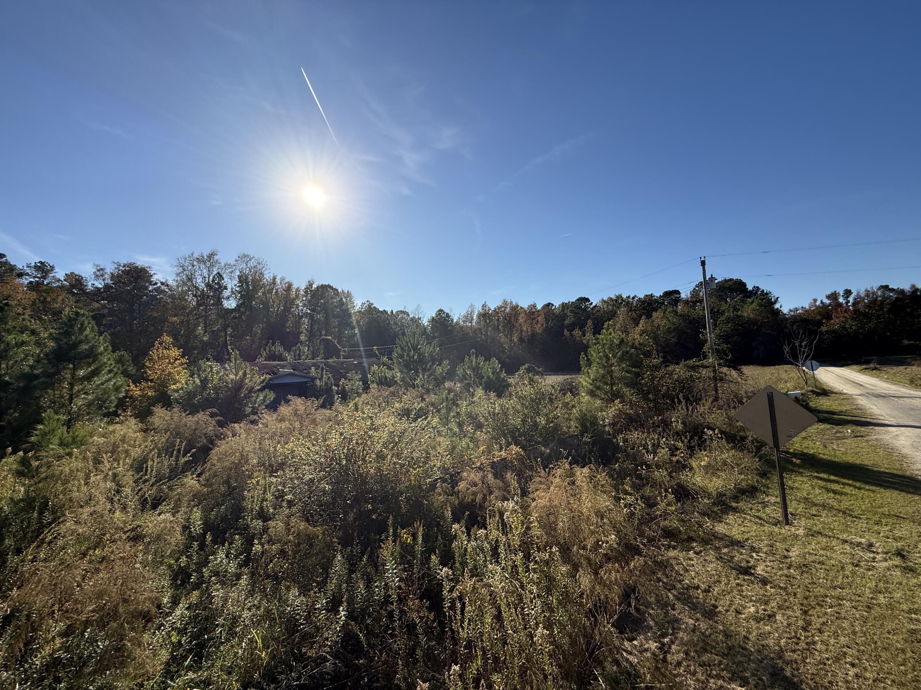 37 Saxon Road Kingstree, SC 29556 - Photo 6 of 17 IMG_2719