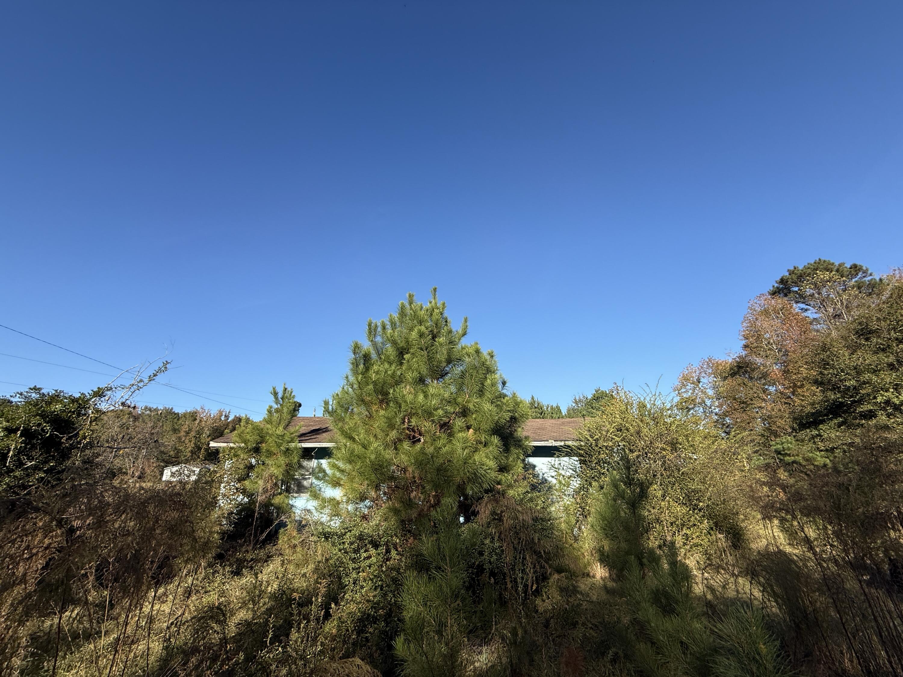 37 Saxon Road Kingstree, SC 29556 - Photo 7 of 17 IMG_2711