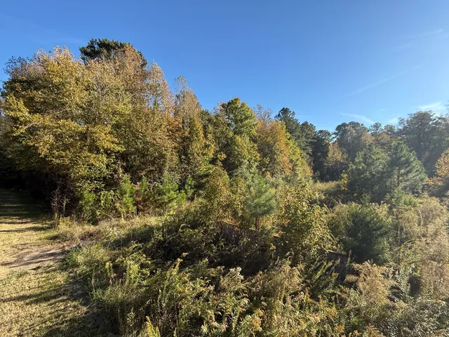 $55,000 | 37 Saxon Road, Kingstree, SC 29556