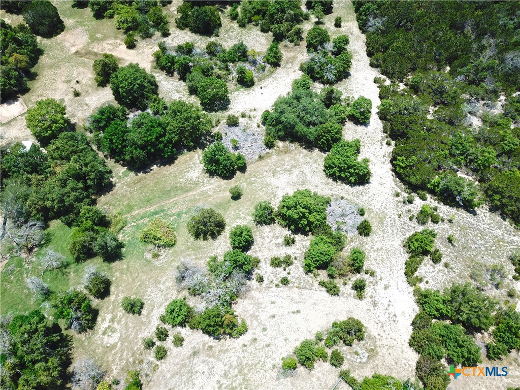 935 County Road 4820 Kempner, TX 76539 - Photo 7 of 48