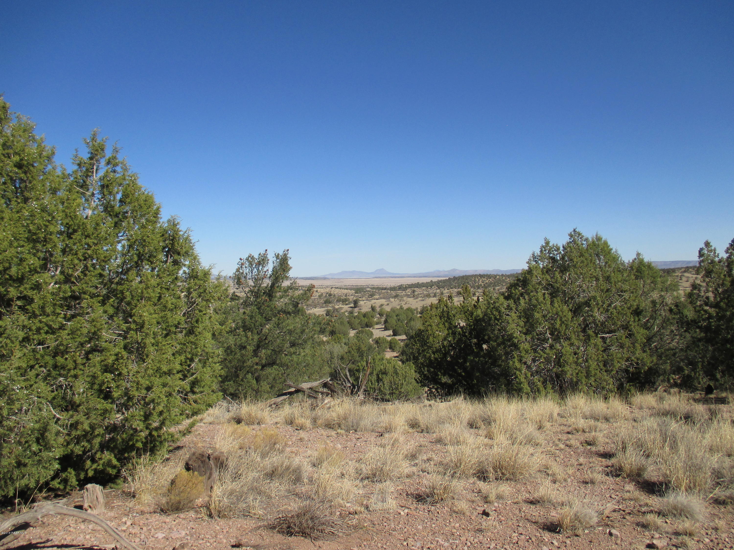 0 West Rambling Parcel 72b Road Prescott, AZ 86305 - Photo 5 of 14 a view of a dry yard with trees in the background