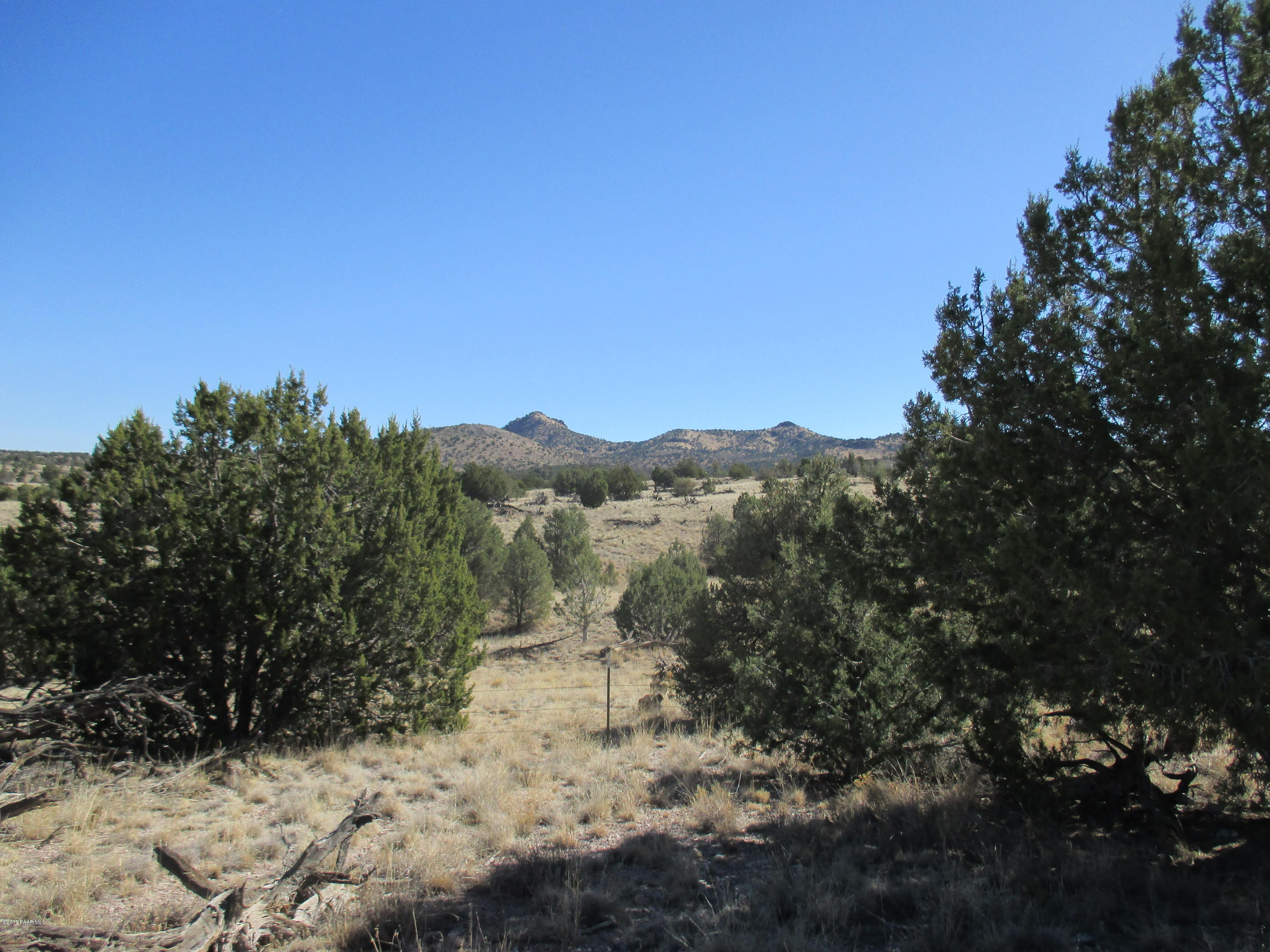0 West Rambling Parcel 72b Road Prescott, AZ 86305 - Photo 8 of 14 a view of a forest with a tree in the background
