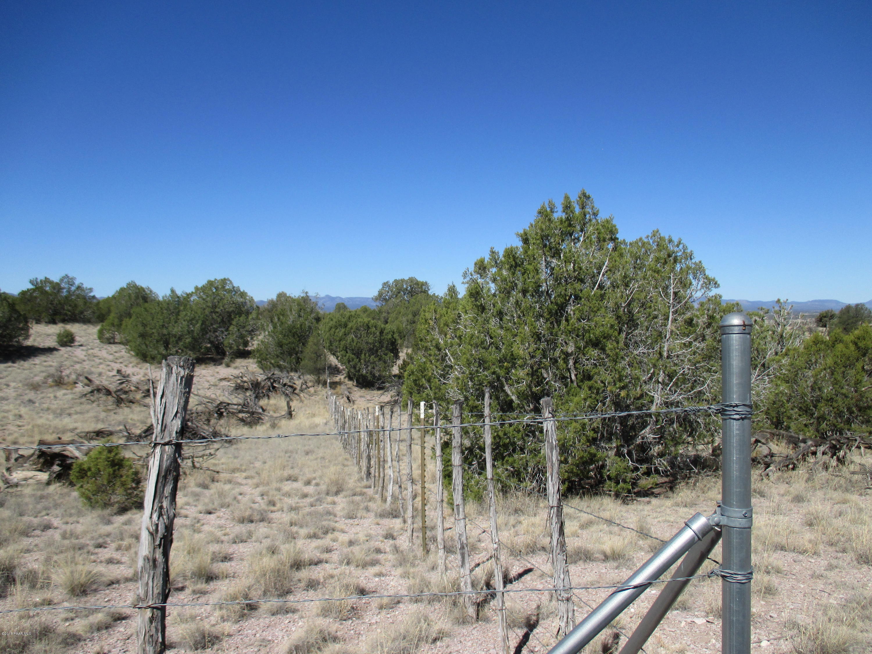 0 West Rambling Parcel 72b Road Prescott, AZ 86305 - Photo 9 of 14 a view of a forest with a tree