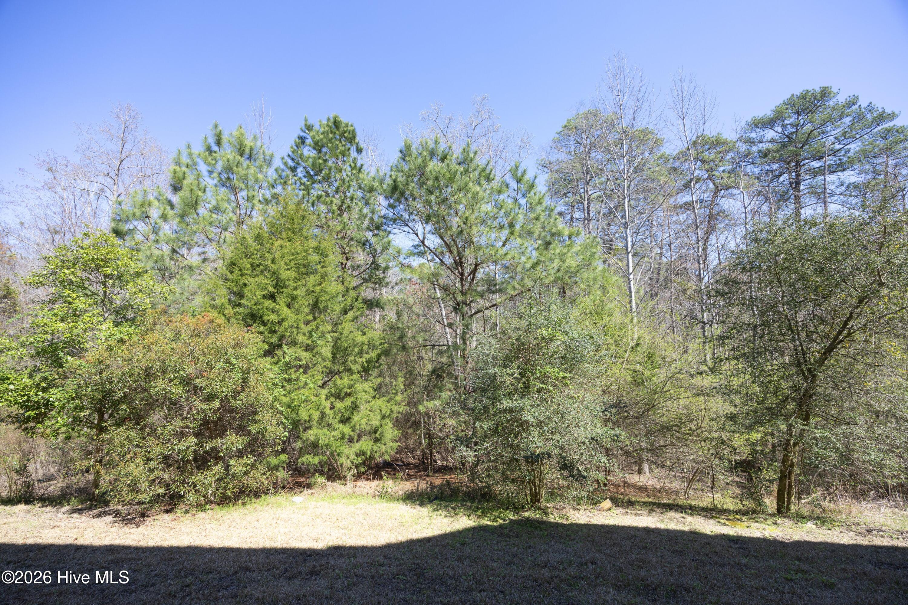 85 Winged Foot Road Pinehurst, NC 28374 - Photo 39 of 44 39BackWoods