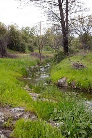 a backyard of a house with lots of green space