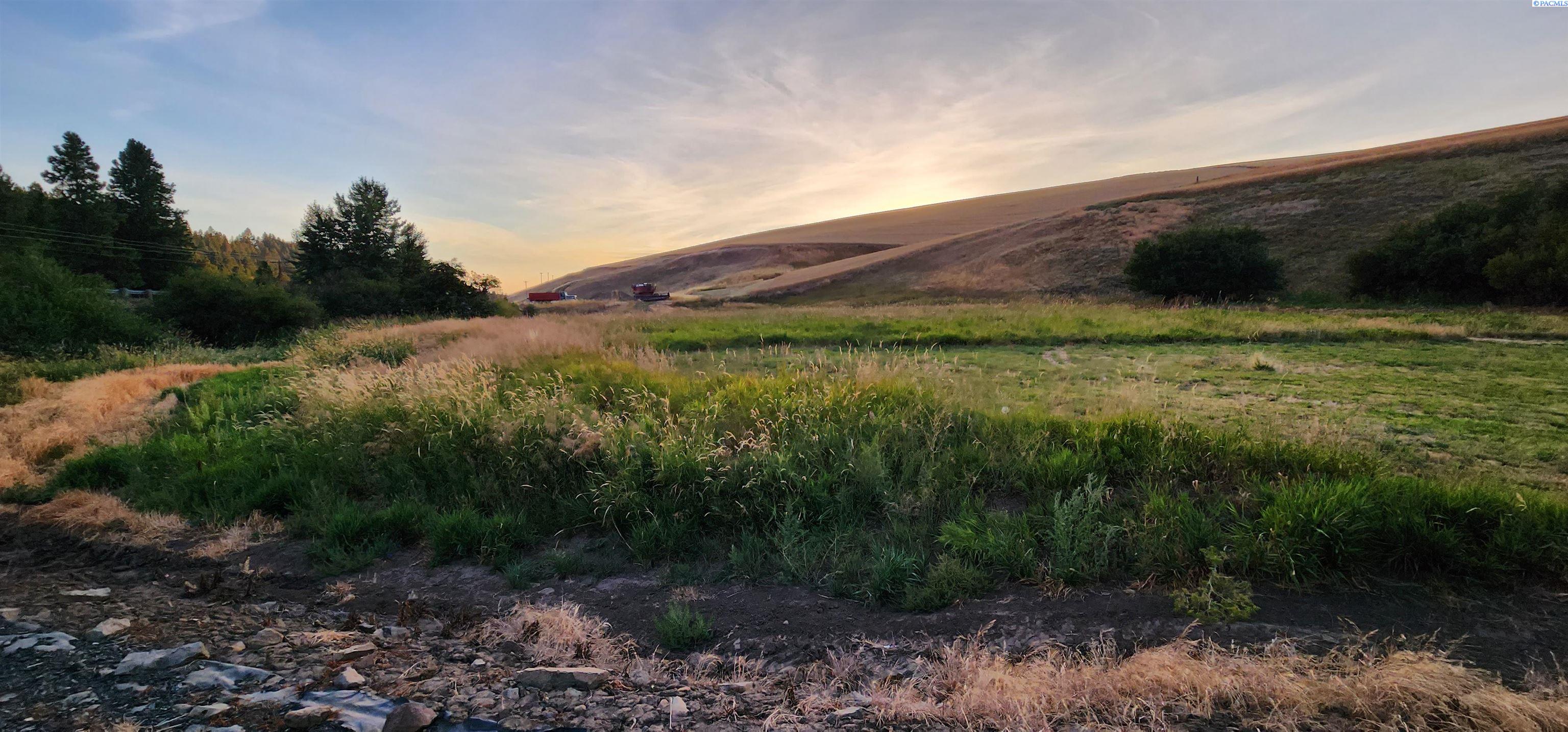 1241 Patit Road Dayton, WA 99328 - Photo 32 of 48 Gallery Image 32